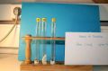 gal/LES_CINQUIEMES/ACTIVITE DIGESTION IN VITRO/Groupe_02/Groupe02_T_00h00min/_thb_Groupe02_temps__H__min_1.jpg